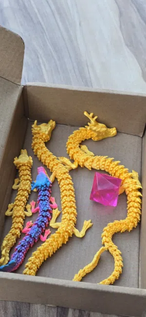 3D printed dragon package