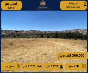 رقم الإعلان: (5219) قطعة أرض سكنية مميزة للبيع – أم زويتينة / قرب جسر ياجوز