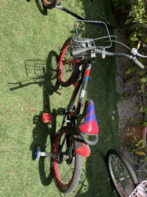 Bicycle red and blue
