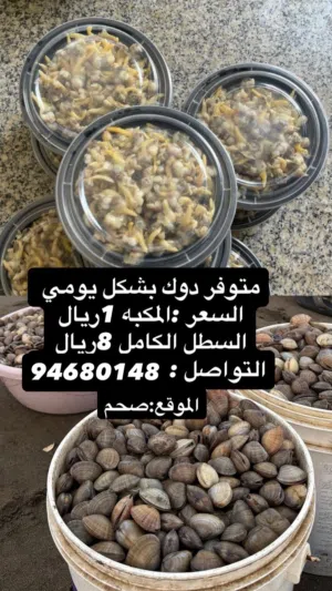 دوك مؤكلات بحريه ب 1ریال