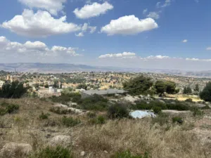 Residential Land for Sale in Salt Um Jozeh