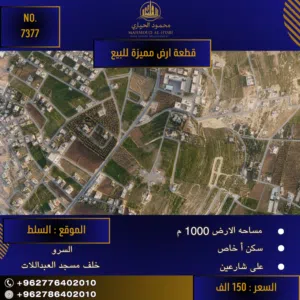 إعلان رقم (7377) فرصة العمر في منطقة السرو الراقية.. مساحة مميزة لفيلتك الخاصة!