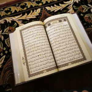 علي عقيل 