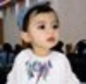 مصطفى المسلماني