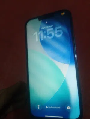 Apple iPhone 13 Pro Max 256 GB in Maysan