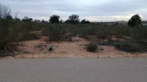 قطعه ارض لللبيع