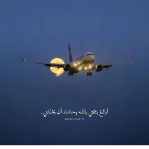 انور المنجي