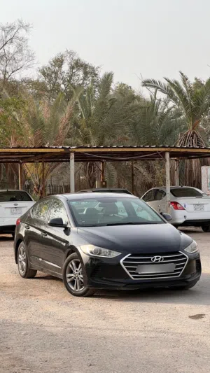 Used Hyundai Elantra in Basra