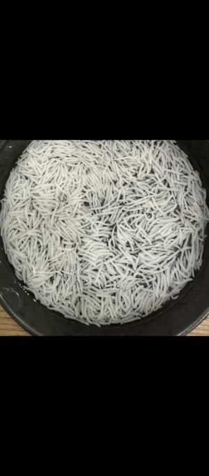 مطلوب ارز وسكر