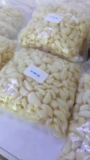 ثوم بلاديه نخب
