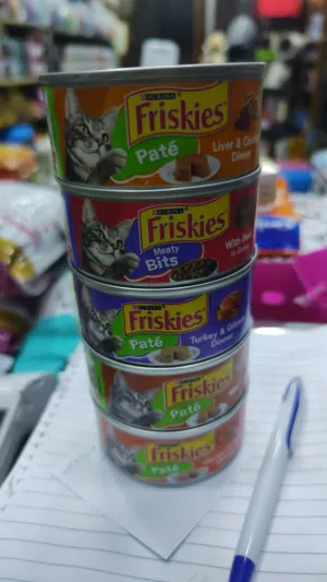 علب فرسكس للببع