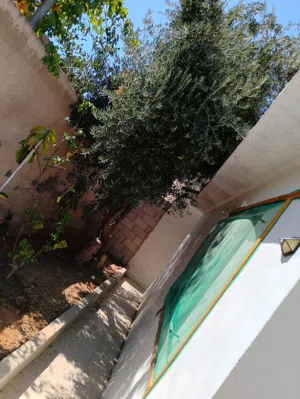 240 m2 More than 6 bedrooms Townhouse for Sale in Zarqa Al Hashemieh