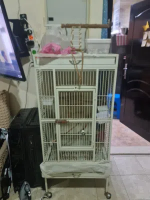 برسم البيع قفص كبير للببغائات