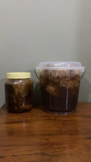 للبيع عسل ابو طويق