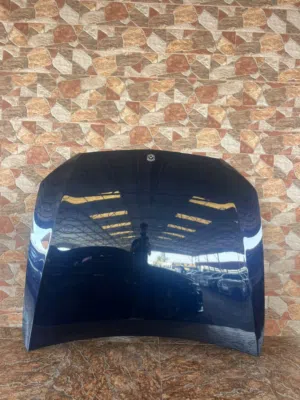 غطا بونيت E300 2020 للبيع عدد 2