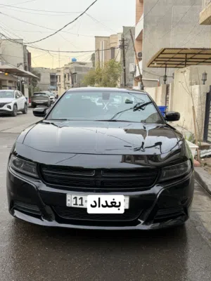جارجر 2022 امريكي