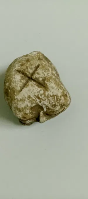 حجار حفر منظر فقط