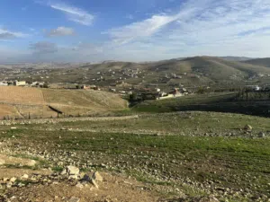 Farm Land for Sale in Zarqa Sarout