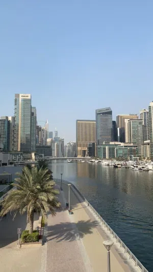 بناية للبيع ركن بمناوي باشا الوارد الشهري شدتين ونص