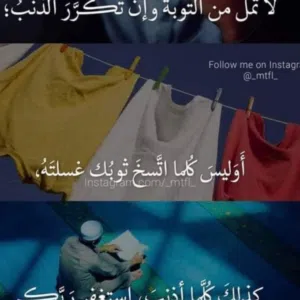 أبوهبة 