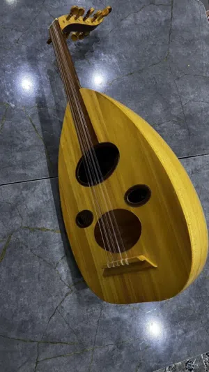 عود مصري نظيف
