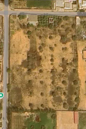 3 Bedrooms Farms for Sale in Tripoli Airport Road