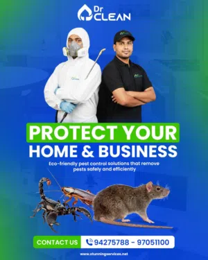 خدمات إبادة الفئران ومكافحة الآفات Pest control services