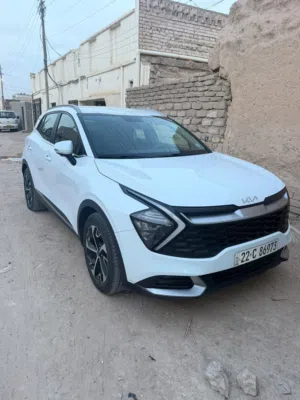 البصره الزبير