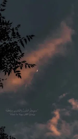 بن تاجر 