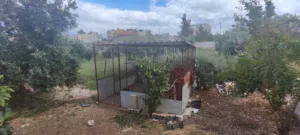 قفص دجاج او حيوانات ... حجم كبير