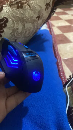 سوري قيمر مرحبا