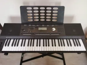 Roland E-X 20 Arranger Keyboard