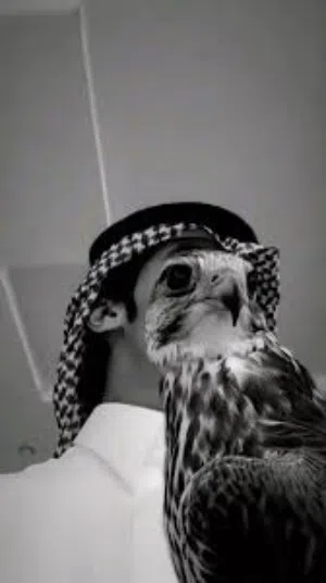 ابراهيم 
