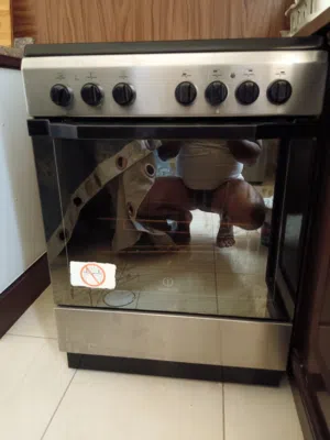 Indesit (Italian Barnd) freestanding electric cooker (4 ceramic hob and oven)