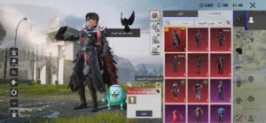 Pubg Accounts and Characters for Sale in Basra