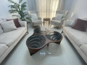 كنب ضيوف living room