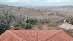 4 Bedrooms Farms for Sale in Jerash Al-Mastaba