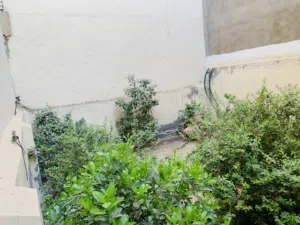 244 متر للايجار في شارع فلسطين