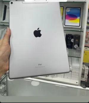Apple iPad 2 256 GB in Jenin