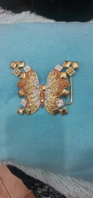 Beautiful dress buckles