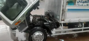 دينه مجنونه