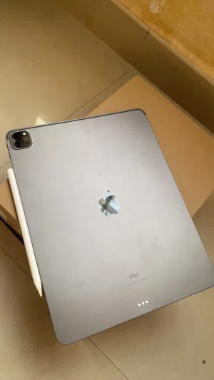 Apple iPad Pro 13 256 GB in Muscat