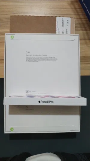 Apple iPad Pro 13 1 TB in Amman