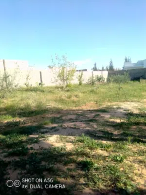 يوجد بيها بئر ماء فاسكيه واشجار وكهرباء موصول
