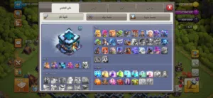 Accounts and Characters for Sale in Al Riyadh