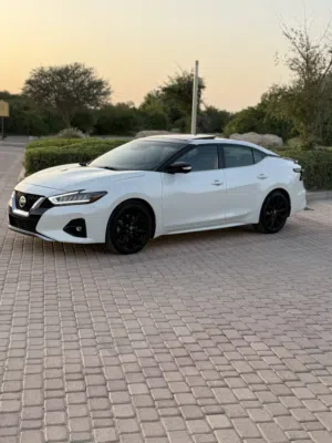 Nissan Maxima SR Model 2020 in good condition