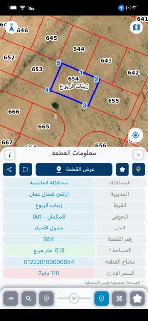 ارض في زينات الربوع للبيع