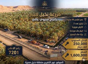 Farm Land for Sale in Jordan Valley Ghor Al Kafrain