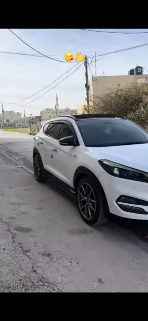 جيبت-توسان-فل-فل