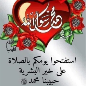sanad 